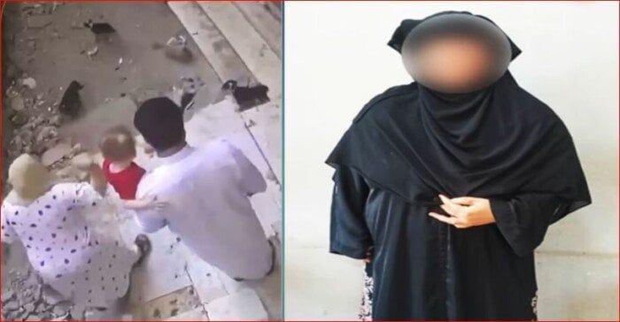 لخشيتها على الأطفال.. ضبط سيدة تعدت على الكلاب بالحجارة في الشرقية