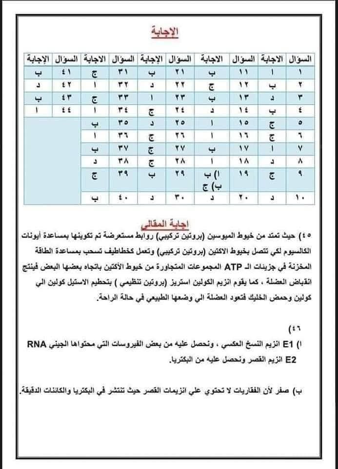 3e7adc9b10.jpg