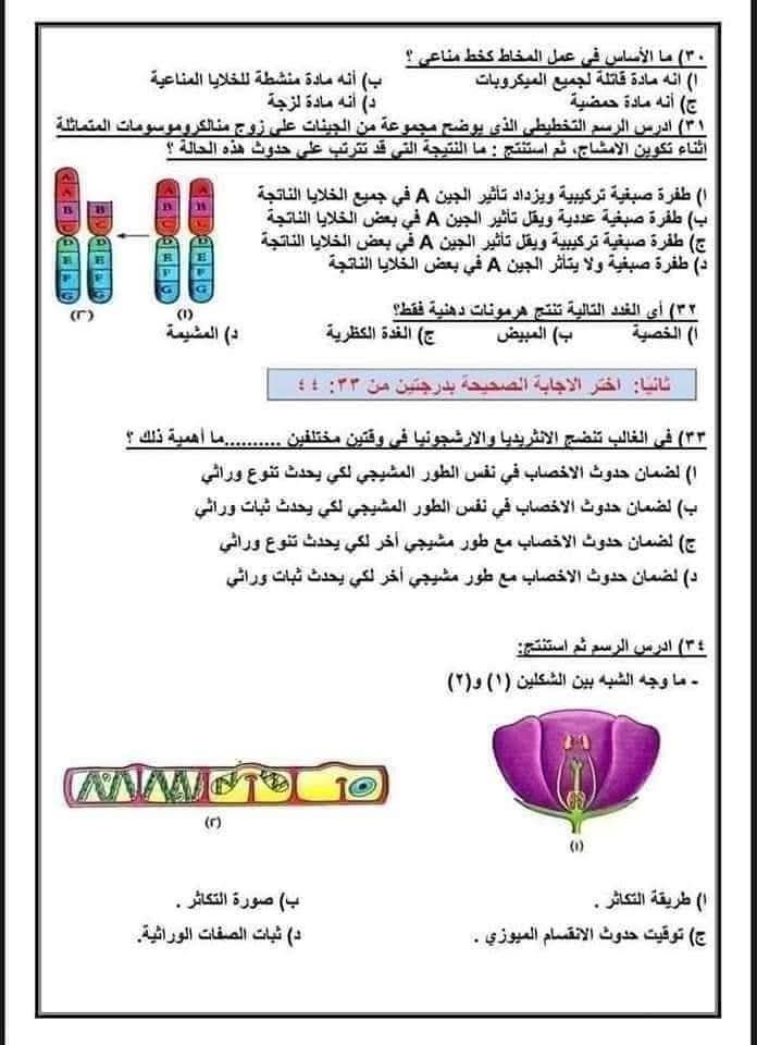 4aaef03f46.jpg