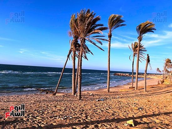 جمال-الطبيعة-علي-شاطي-العريش جمال-الطبيعة-علي-شاطي-العريش