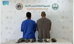 ضبط مواطنين يصطادان دون تصريح في مياه ينبع