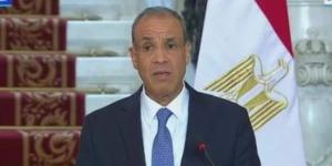وزير الخارجية: نرفض مخططات التهجير.. ومؤتمر إعمار غزة فور وقف إطلاق النار - بوابة اخر ساعة