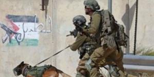 الاحتلال يستهدف الصحفيين خلال تغطيتهم هدم في محيط مستشفى جنين الحكومي - بوابة اخر ساعة