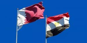أخبار الرياضة - مصر وقطر شريكان مفيدان في محادثات إحلال السلام وإنهاء الحرب في غزة - بوابة اخر ساعة
