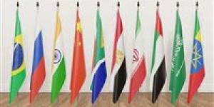 أستاذ الاقتصاد: انضمام مصر لـ«البيركس» يفتح الباب أمام فرص غير مسبوقة لتعزيز التبادل التجاري والاستثماري - بوابة اخر ساعة