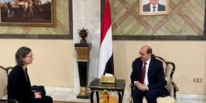 وزير الخارجية يبحث مع السفيرة الفرنسية تعزيز العلاقات الثنائية وتأهيل الكوادر الدبلوماسية - بوابة اخر ساعة