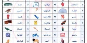 خطوات اختيار الرموز الانتخابية للمرشحين فى انتخابات مجلس الشيوخ .. صور - بوابة اخر ساعة
