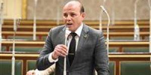 النائب عمرو القطامي في ختام دور الانعقاد: تعلمت الكثير تحت قبة البرلمان وأفخر بعضويتي في «مستقبل وطن» - بوابة اخر ساعة