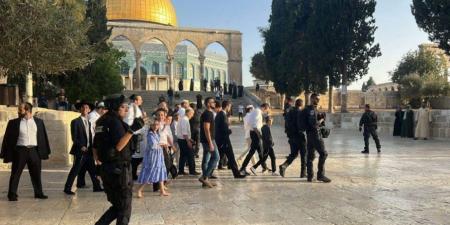 الأوقاف الفلسطينية: اقتحام الأقصى 25 مرة ومنع الأذان بالحرم الإبراهيمي 89 وقتا خلال حزيران - بوابة اخر ساعة