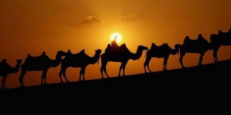 خروج الامام الحسين(ع) الى العراق رغم محاولات ثنيه عن ذلك - بوابة اخر ساعة