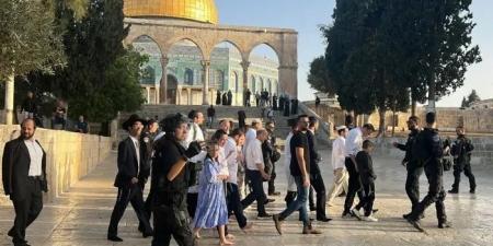 صهاينة اقتحموا باحات المسجد الاقصى - بوابة اخر ساعة