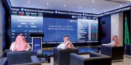 عدد المحافظ الاستثمارية للأفراد بسوق الأسهم السعودية يرتفع 13.5% بالربع الأول - بوابة اخر ساعة