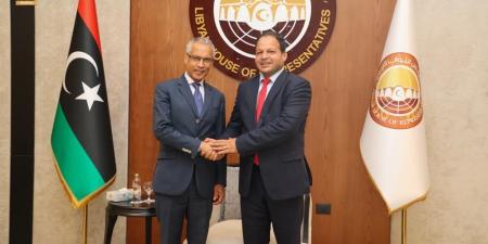 ملفات أمنية وحقوقية في لقاء نائب لجنة الشؤون الداخلية النيابية مع السفير الفرنسي في بنغازي - بوابة اخر ساعة