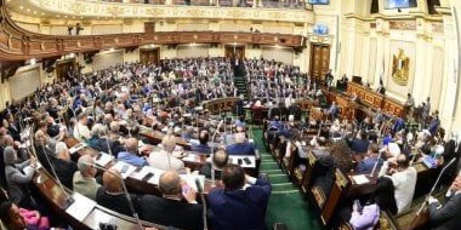 رئيس التعبئة والإحصاء: اعتبرنا المستأجرين البالغين 60 عاما سكانا أصليين - بوابة اخر ساعة