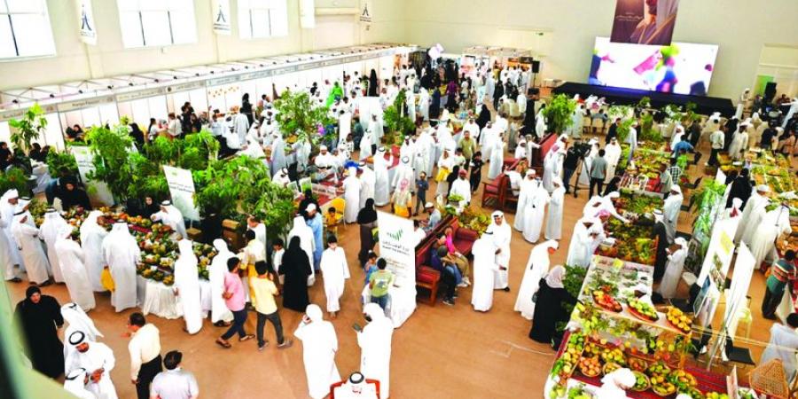 20 ألف زائر لمهرجان خورفكان للمانجو - بوابة اخر ساعة