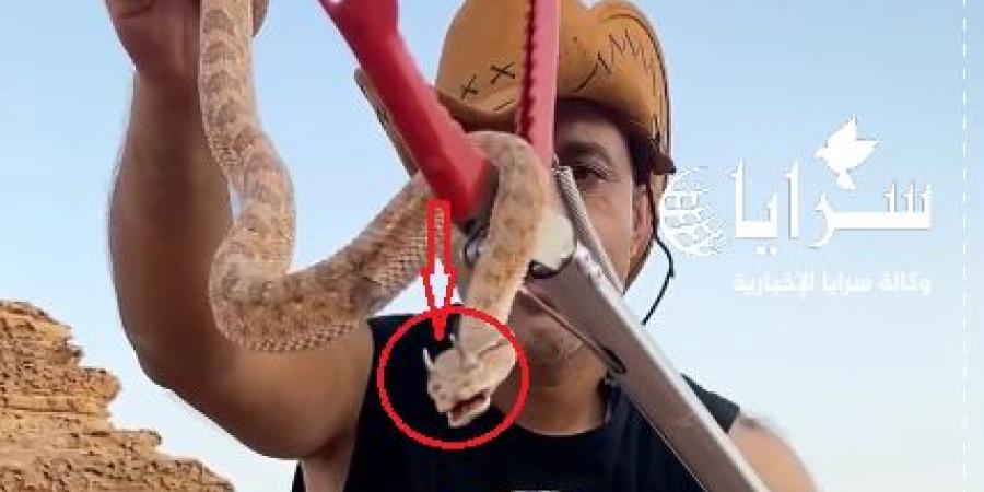 بالفيديو .. شاب أردني يصطاد "أفعى القرون" في وادي رم ويصفها بـ"التنين" - بوابة اخر ساعة