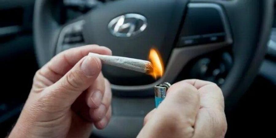 التضامن تطلق حملة لرفع وعي السائقين بخطورة المخدرات - بوابة اخر ساعة