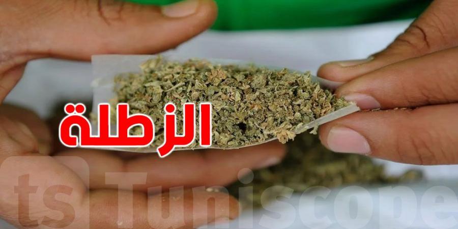 ارتفاع استهلاك ''الزطلة'' عند الأعمار بين 15 و17...التفاصيل - بوابة اخر ساعة