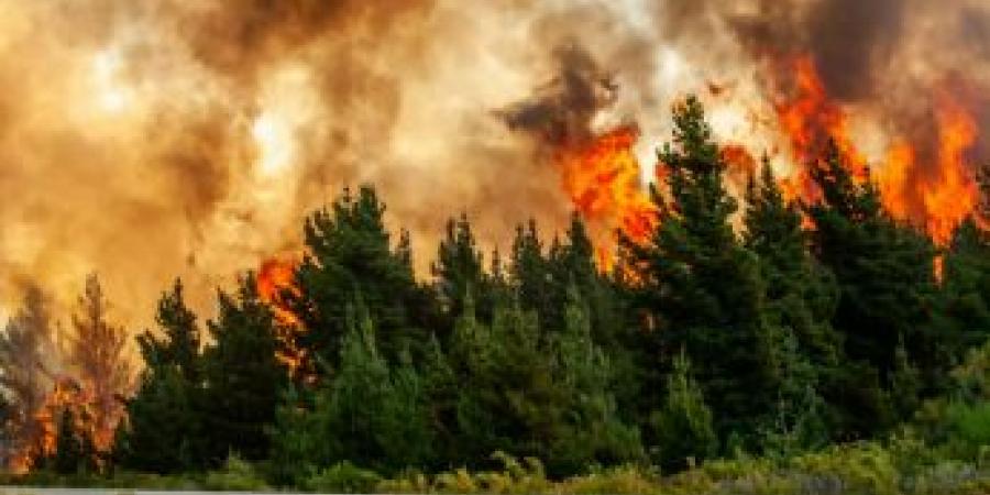 تفسير حلم الحريق في المنام وعلاقته بوجود أشخاص يتحدثون عنه بالسوء - بوابة اخر ساعة