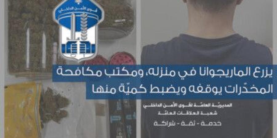 مكتب مكافحة المخدّرات يوقف شخصا يزرع الماريجوانا في منزله ويضبط كميّة منها - بوابة اخر ساعة