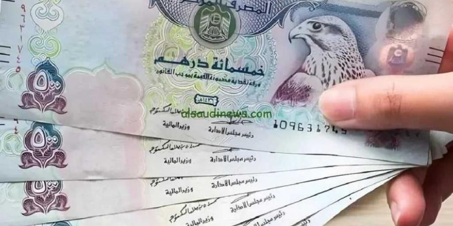 الدرهم الإماراتي مستقر في مصر.. آخر تحديثات السعر اليوم السبت 5 يوليو 2025 - بوابة اخر ساعة