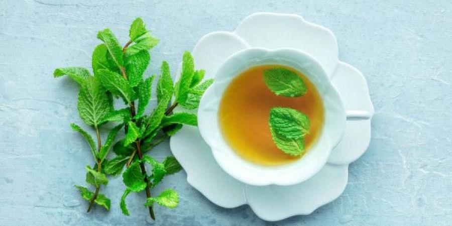 فوائد مذهلة لشاي النعناع - بوابة اخر ساعة