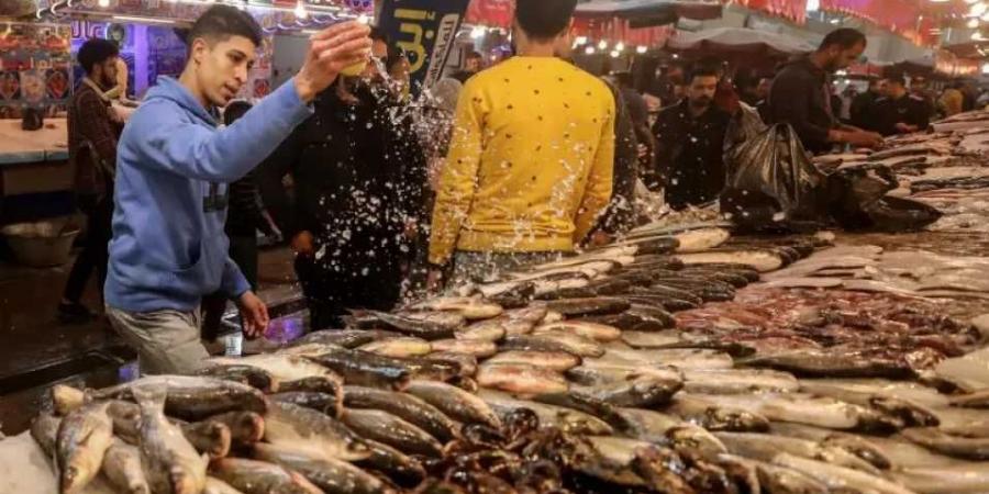 انفجار أسعار الأسماك في مصر.. تعرف على الأنواع التي قفزت والأسواق الأكثر تأثرًا اليوم - بوابة اخر ساعة