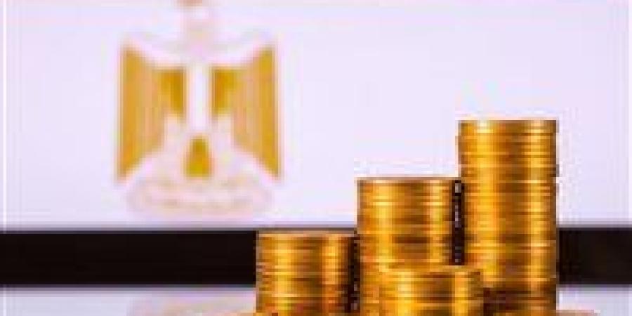 بعد تمويل 215 ألف مشروع بـ33 مليار جنيه.. هل يعاد رسم خريطة الاقتصاد غير الرسمي في مصر؟ - بوابة اخر ساعة