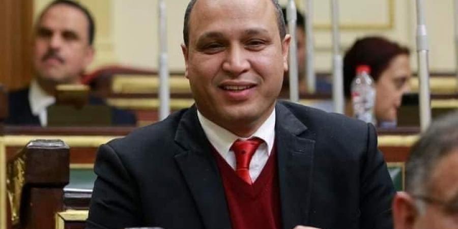 النائب محمد طلبة: "الجبهة الوطنية" تستهدف مقعد شيوخ الإسماعيلية - بوابة اخر ساعة