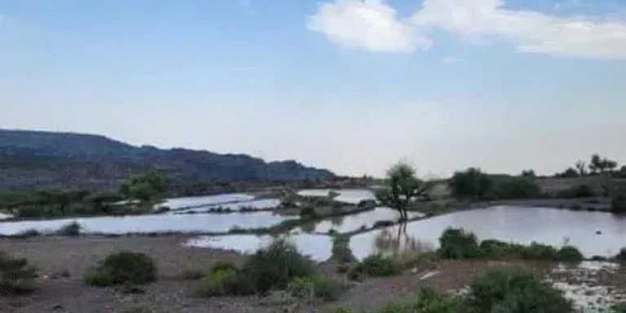 أمطار وأجواء غائمة ورياح في عدد من المناطق خلال الساعات القادمة - بوابة اخر ساعة