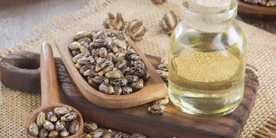 زيت الخروع.. تعرف إلى فوائد وطرق استعمال «بوتوكس الطبيعة» - بوابة اخر ساعة