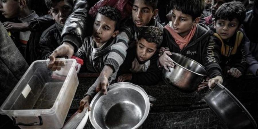 عاجل/ المبعوث الأميركي يلمّح إلى التوصّل لهدنة في غزة هذا الاسبوع - بوابة اخر ساعة