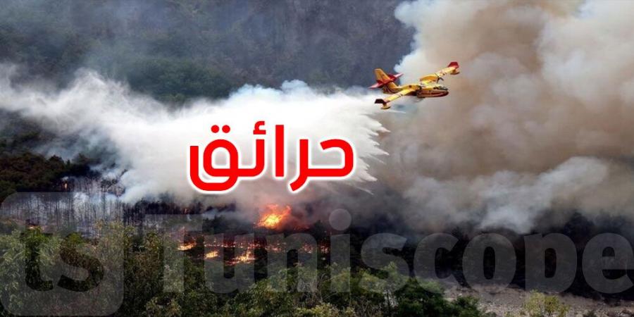 فرنسا: إغلاق مطار مرسيليا إثر حرائق مدمّرة جنوب البلاد - بوابة اخر ساعة