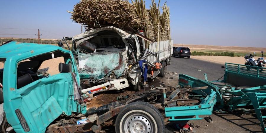 كدواني: إرادة الدولة في حماية أرواح مواطنيها - بوابة اخر ساعة