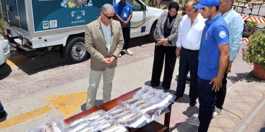 الإسماعيلية تُغرق الأسواق بأسماك الخير، وبنص الاسعار يا أهل الدار - بوابة اخر ساعة