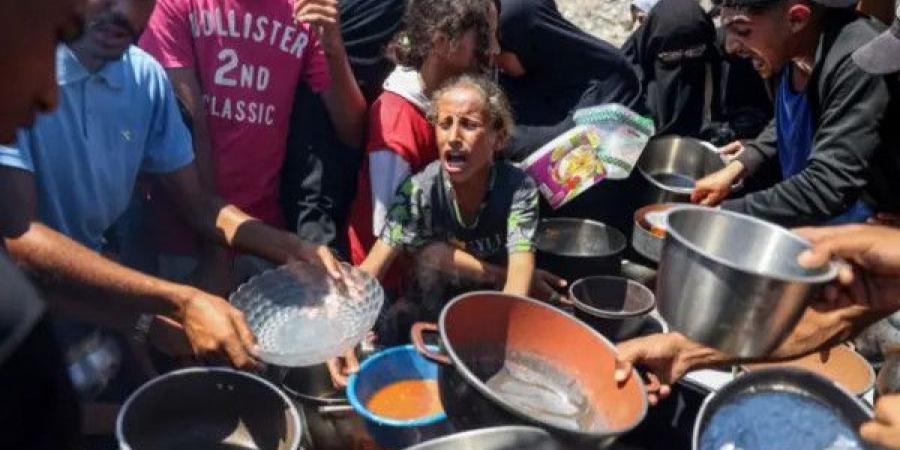 (أوتشا): الأوضاع الإنسانية في غزة كارثية وتتدهور باستمرار - بوابة اخر ساعة